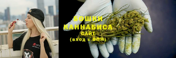 стафф Кулебаки