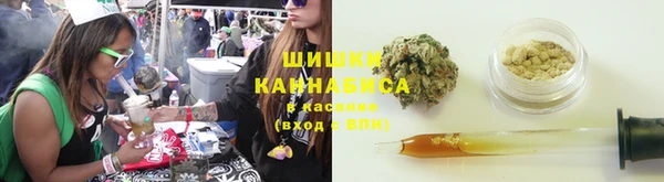 стафф Кулебаки