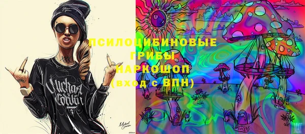 стафф Кулебаки