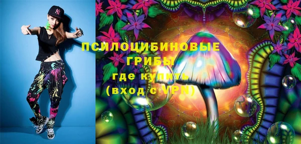 стафф Кулебаки