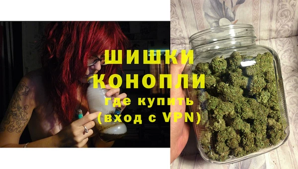 стафф Кулебаки