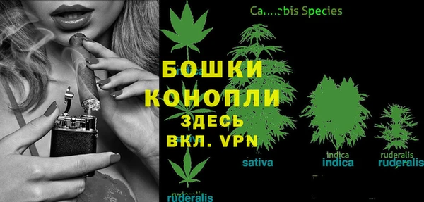 марки lsd Коряжма