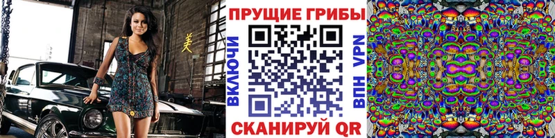 Галлюциногенные грибы Psilocybe  Малгобек 
