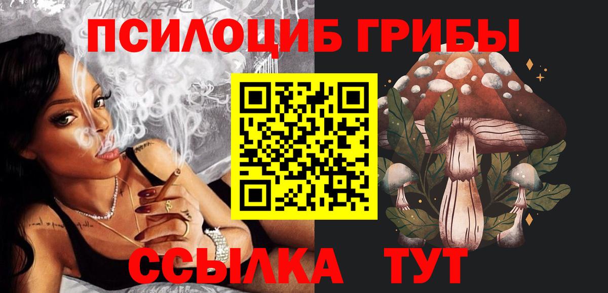 Малгобек  Галлюциногенные грибы MAGIC MUSHROOMS  Вход с VPN 